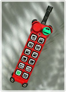 Radio Remote Control For Five Motion EOT Cranes